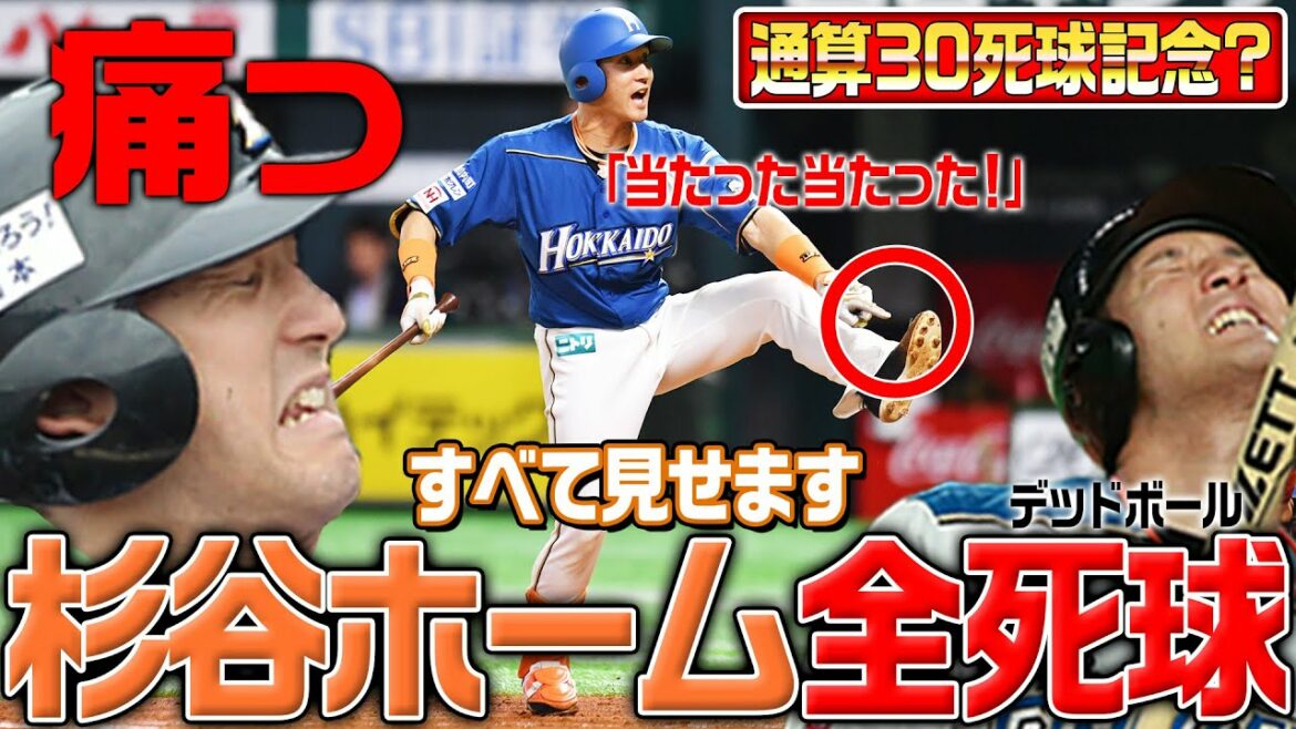 Hokkaido-Nippon-Ham-Fighters: 【当たった!当たった!】杉谷拳士すべて見せます「ホーム全死球」
