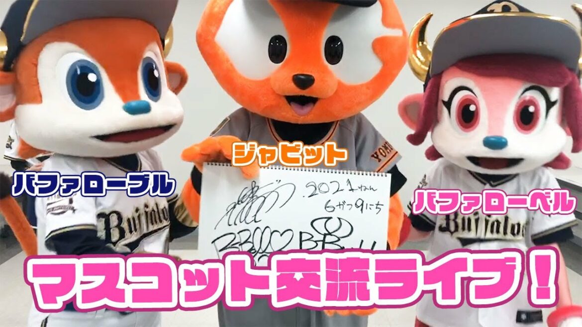 ORIX-Buffaloes: BsStage2021 マスコットショー特別編 ジャビットくんコラボ ダイジェスト
