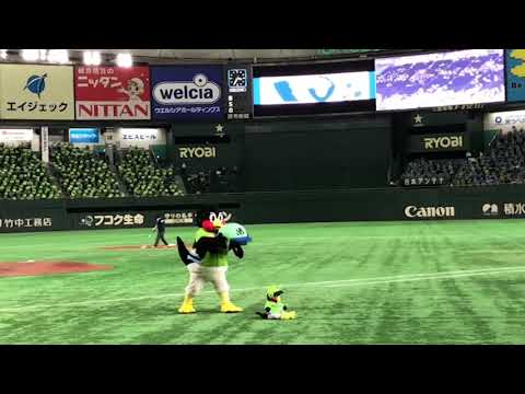 Tokyo Yakult Swallows 東京ヤクルトスワローズ Page 38 Of 56 Npb Hub