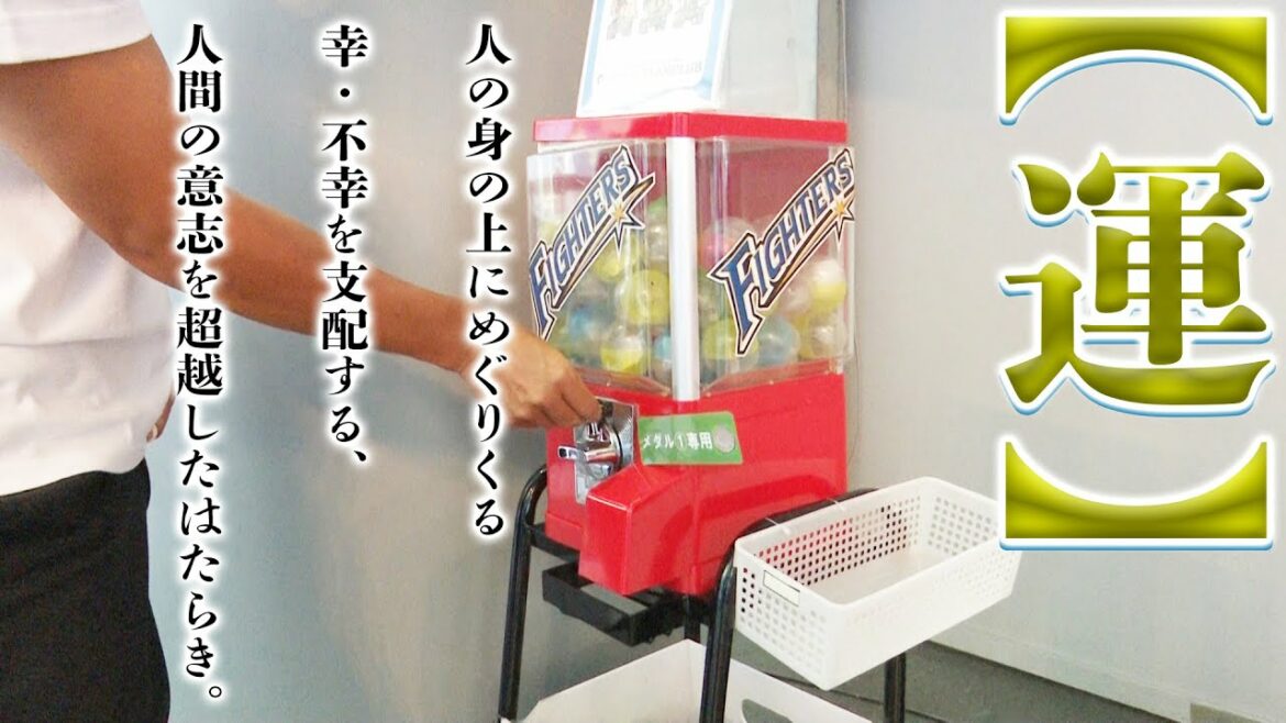 Hokkaido-Nippon-Ham-Fighters: 【カキのタネ#28】運が味方する男・新垣勇人 ファンクラブ会員限定ガチャポンに挑戦!!