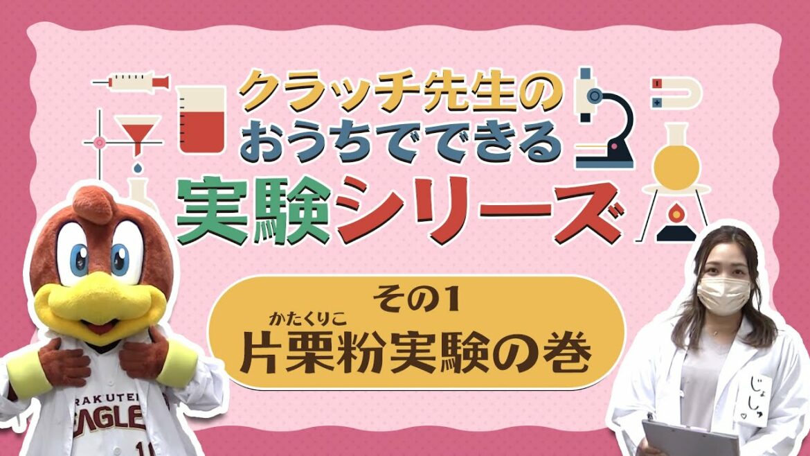 Tohoku-Rakuten-Golden-Eagles: お家で実験シリーズ①🔍~片栗粉実験の巻~
