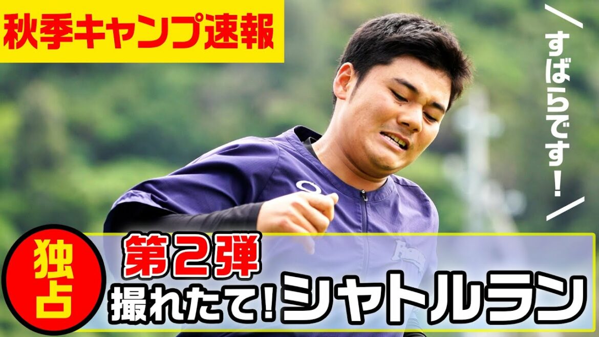 Hokkaido-Nippon-Ham-Fighters: 【秋季キャンプ速報】撮れたて!キャンプ名物シャトルラン第2弾!