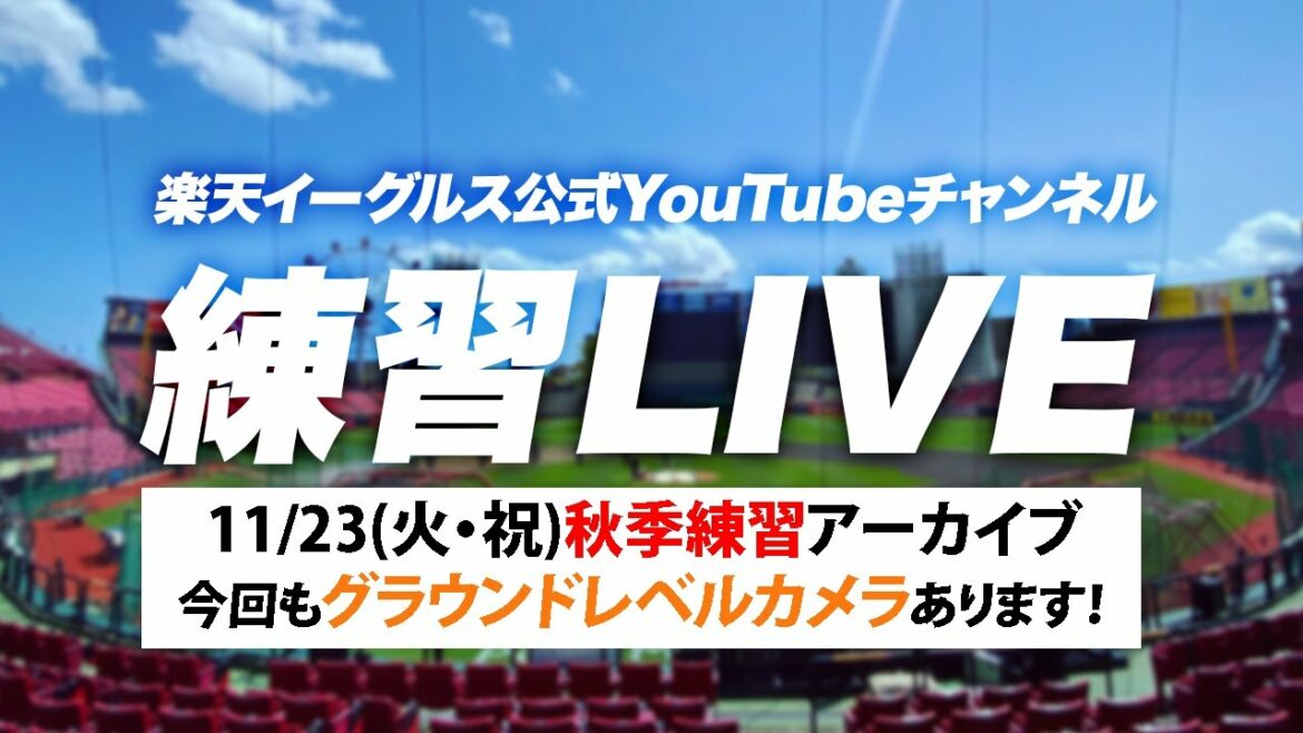 Tohoku-Rakuten-Golden-Eagles: 【アーカイブ】11/23(火・祝)秋季練習