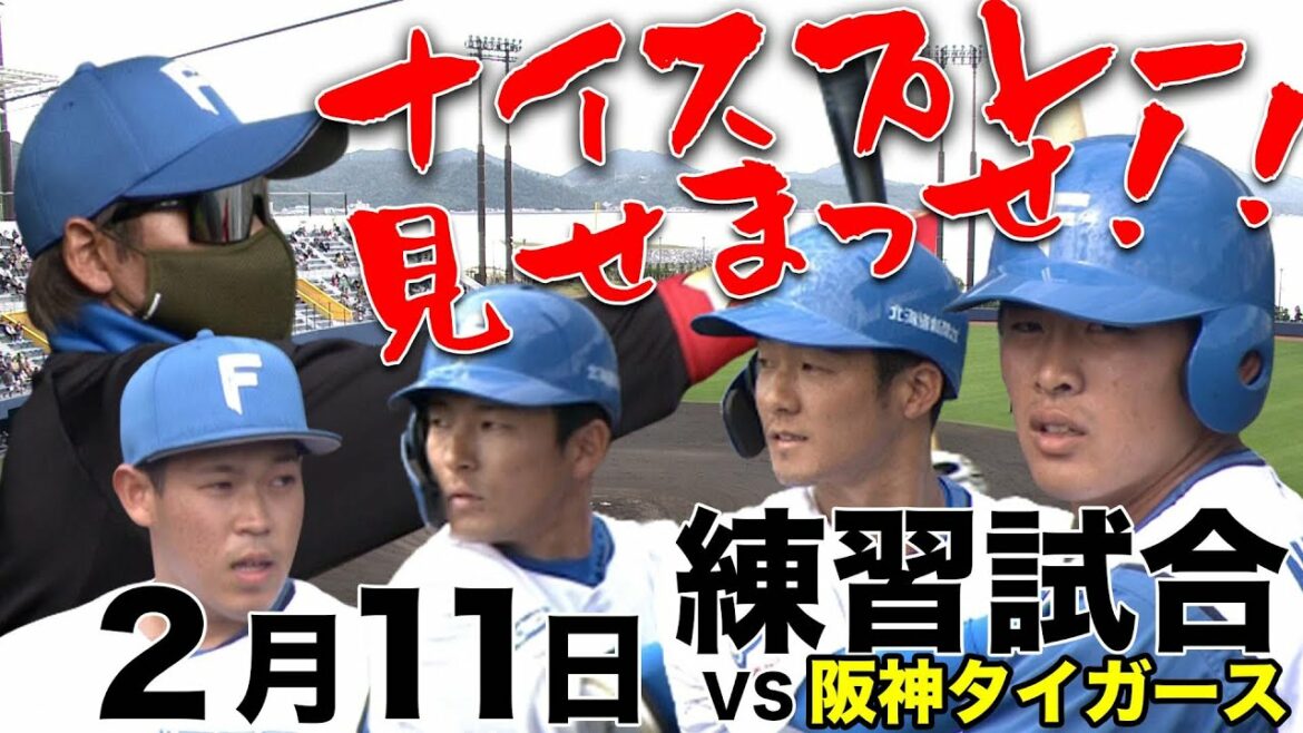 Hokkaido-Nippon-Ham-Fighters: 【2022春季キャンプ】2月11日 練習試合ナイスプレー集!