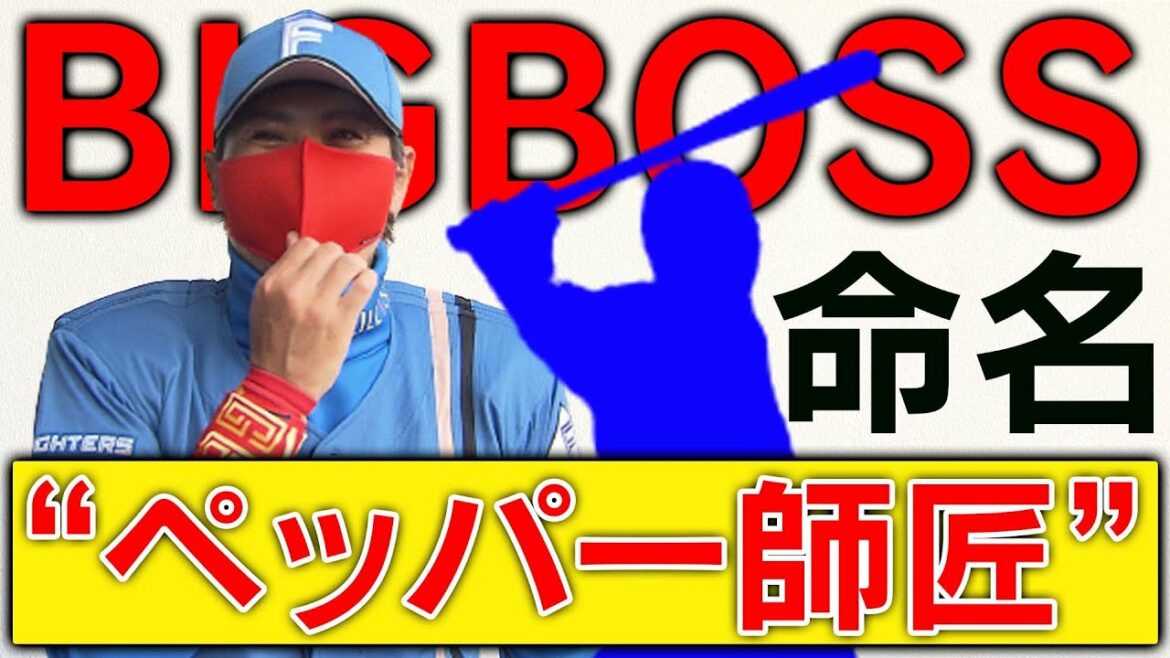 Hokkaido-Nippon-Ham-Fighters: 【2022春季キャンプ】BIGBOSS命名“ペッパー師匠”とは一体!?