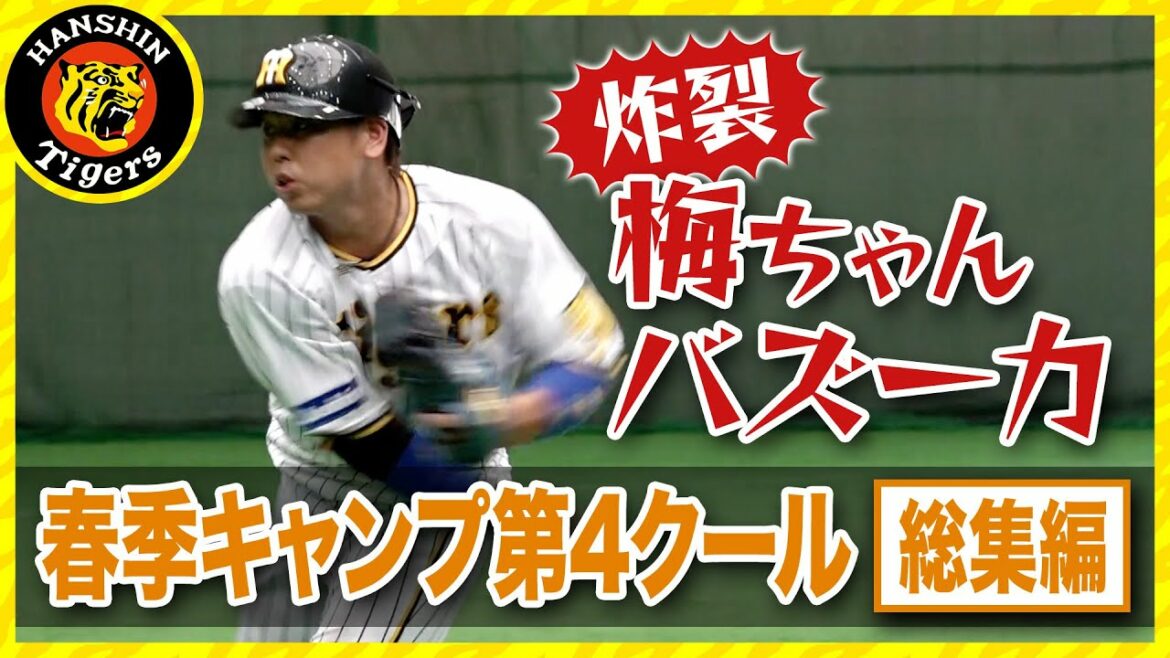 Hanshin-Tigers: 【抹茶は実はアレからできている?】春季キャンプ2022、2月15日~17日までの第4クールまとめ!