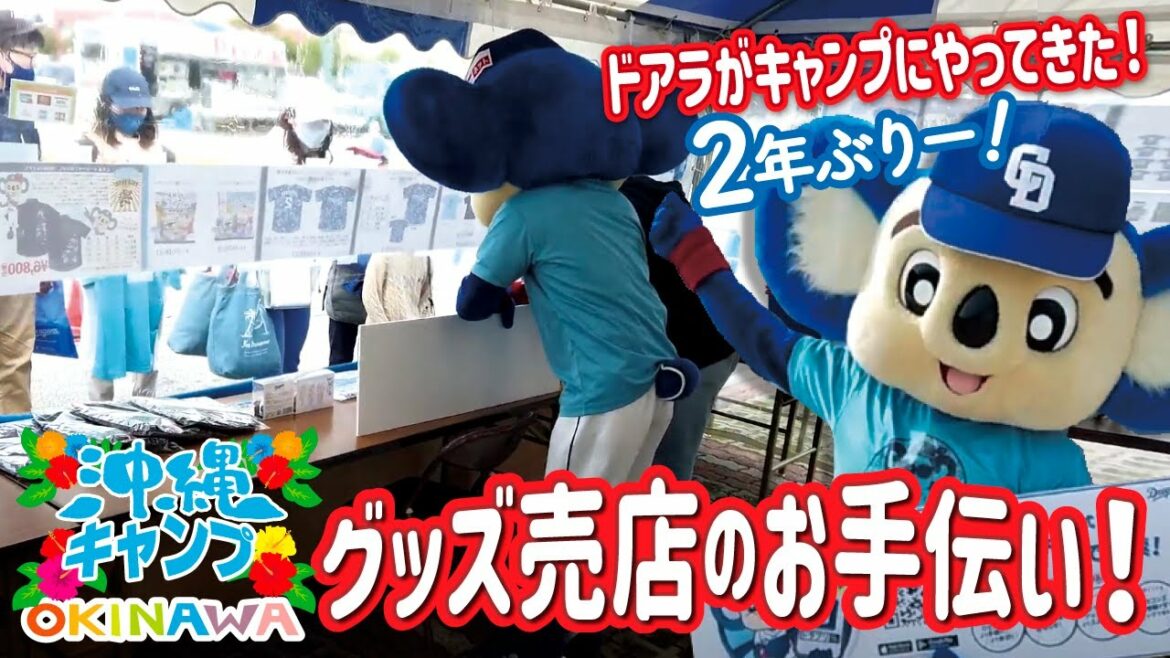 Chunichi-Dragons: 【マスコットチャンネル】キャンプ地でスタッフとして働くドアラの様子!
