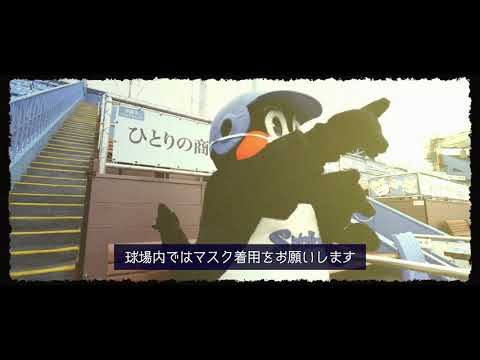 Tokyo-Yakult-Swallows: 【東京ヤクルトスワローズ】明治神宮野球場へご来場のみなさまへ 観戦ルールご協力のお願い