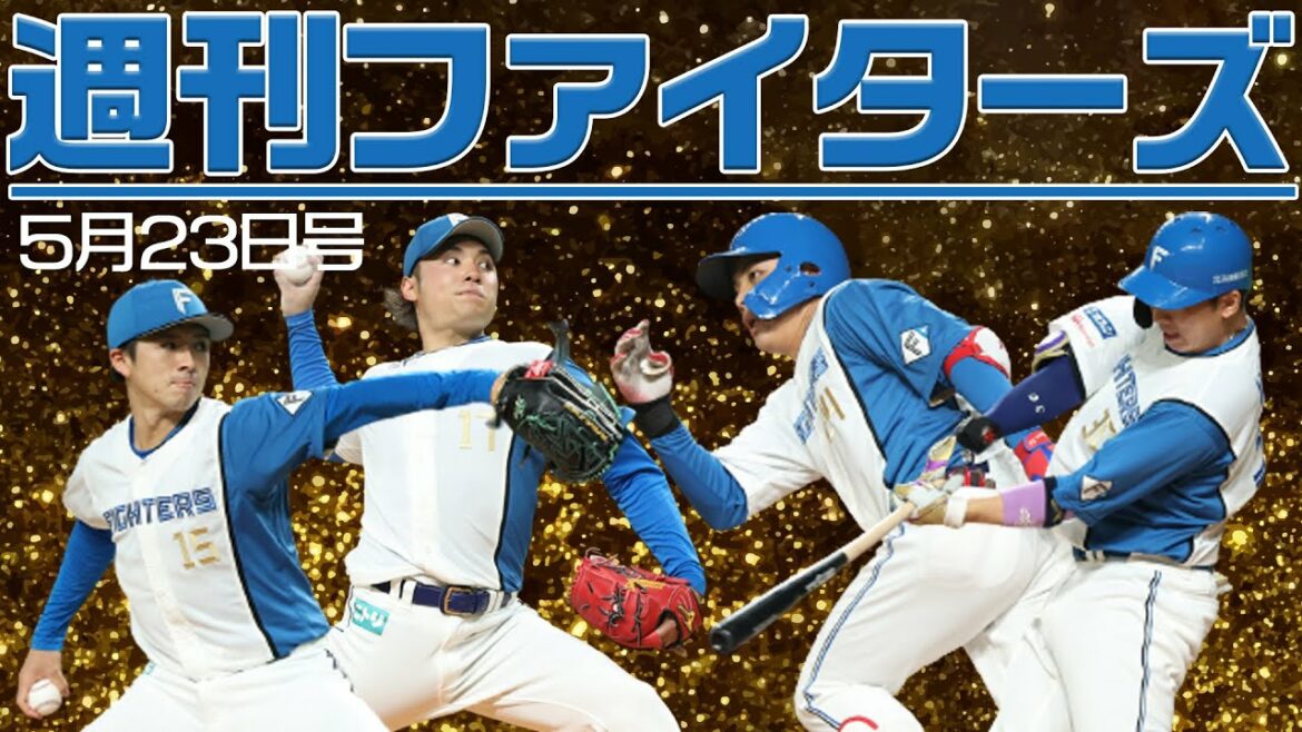Hokkaido-Nippon-Ham-Fighters: 【週刊ファイターズ】5月23日号