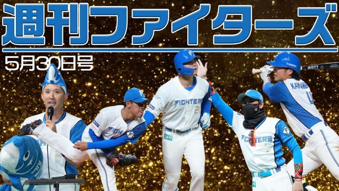 Hokkaido-Nippon-Ham-Fighters: 週刊ファイターズ5月30日号