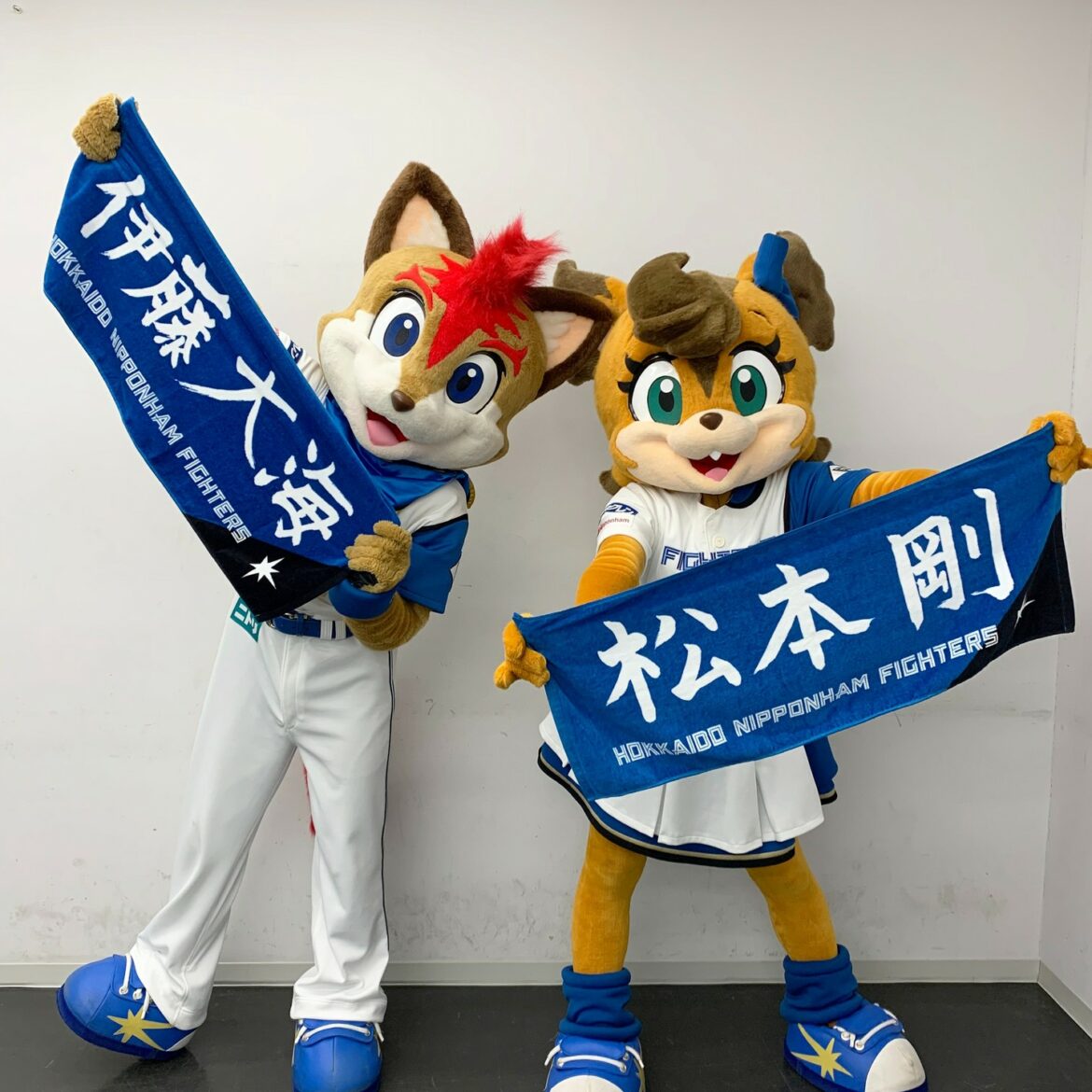 Hokkaido-Nippon-Ham-Fighters: 推しに届け!みんなの想い 推しの登場場面にあなたの写真が流れるかも⁈ 今日から #推しビジョン の募集を開始 ◆募集写真 ①推し活をしている写真 ②あなたが撮…