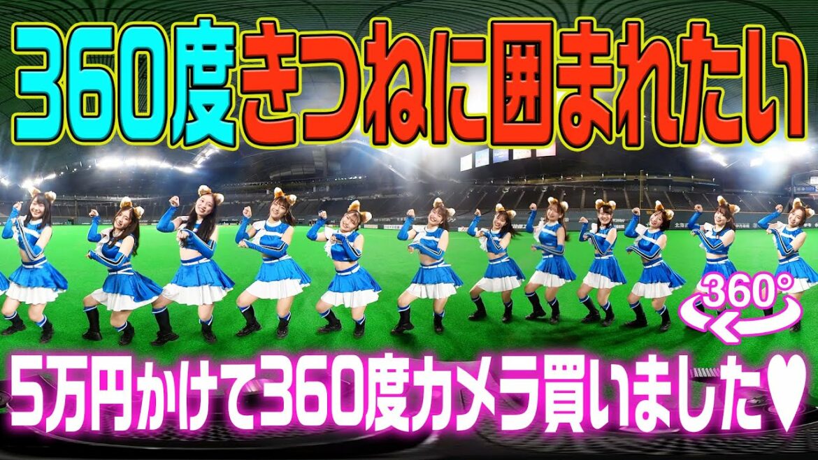 Hokkaido-Nippon-Ham-Fighters: 【360度きつね】一度、きつねダンスに囲まれてみます?【きつねキャンプファイア】