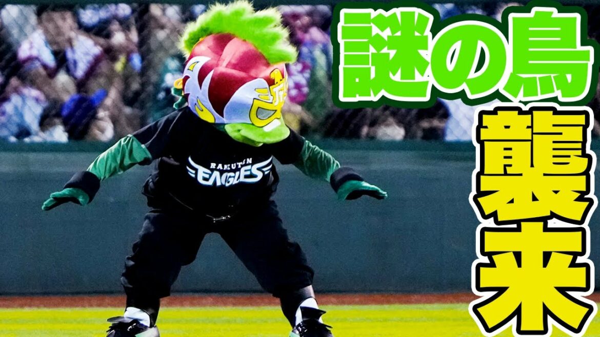 Tohoku-Rakuten-Golden-Eagles: 【2022/7/30】EAGLES EARTH GREENに謎の鳥襲来