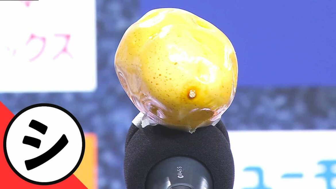 Pacific-League: 【シ】シュールの極み【まとめるほどではないまとめ】