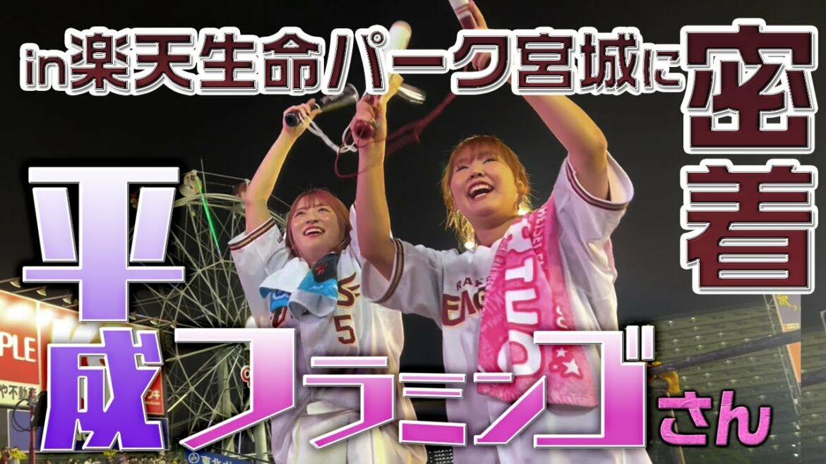 Tohoku-Rakuten-Golden-Eagles: 【お待たせしました!!】平成フラミンゴ in 楽天生命パーク宮城に密着✨