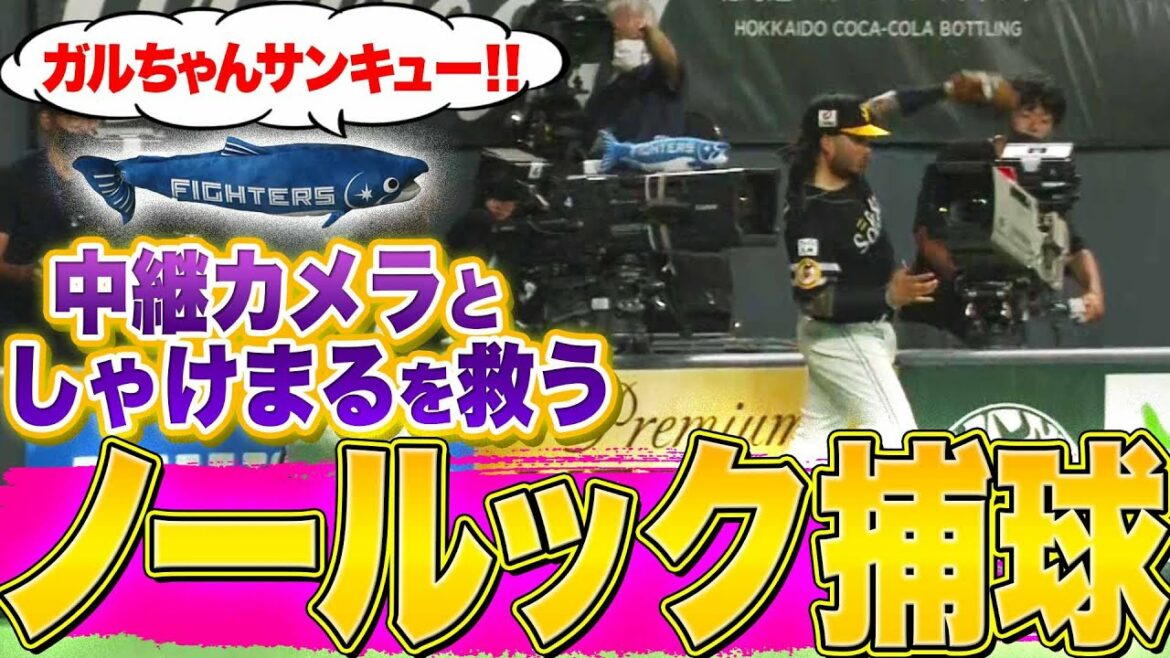 Pacific-League: 【ノールック捕球】ガルビス『中継カメラと“しゃけまる”を救う』