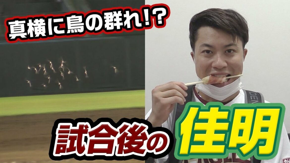 Tohoku-Rakuten-Golden-Eagles: 【鳥と爪痕🦅】試合後の佳明