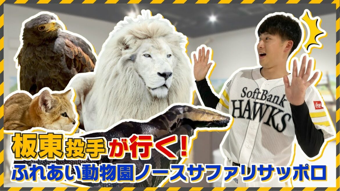 Fukuoka-SoftBank-Hawks: 【満喫し過ぎてつい長居】板東湧梧投手がスリル満点の動物園に挑む!