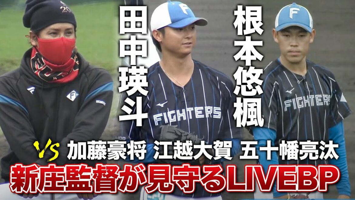 新庄監督が見つめる田中瑛斗&根本悠楓投手のライブバッティング練習<11/12ファイターズキャンプLIVE in Autumn 2022>