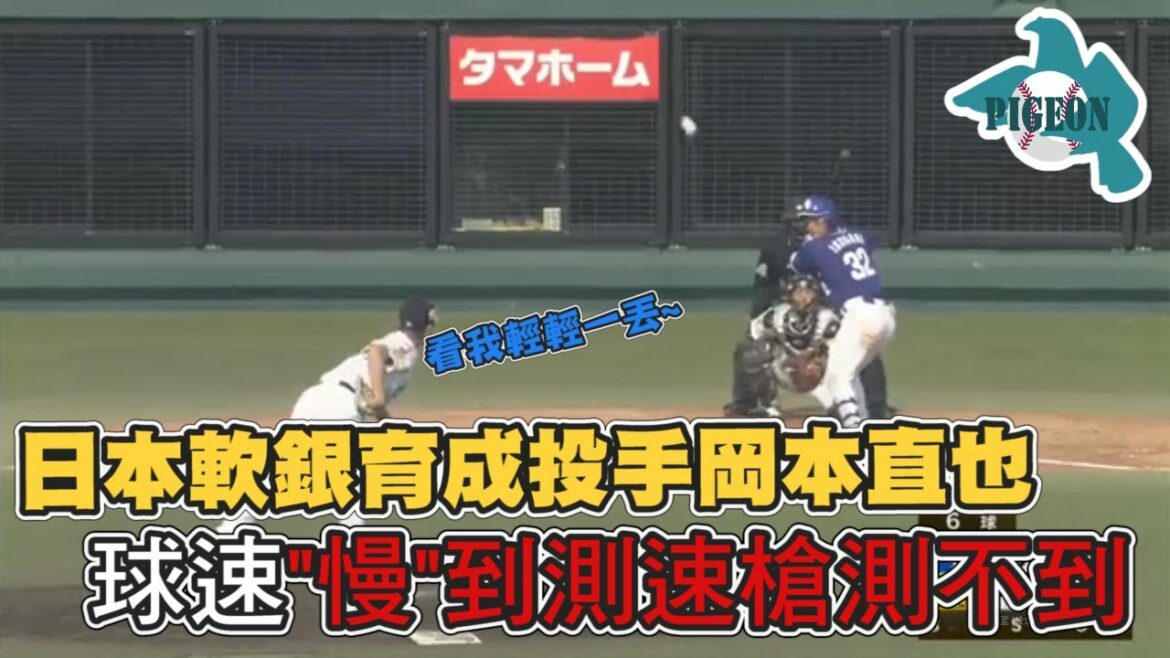【白鴿探索中】日本軟銀育成投手岡本直也 球速”慢”到測速槍測不到