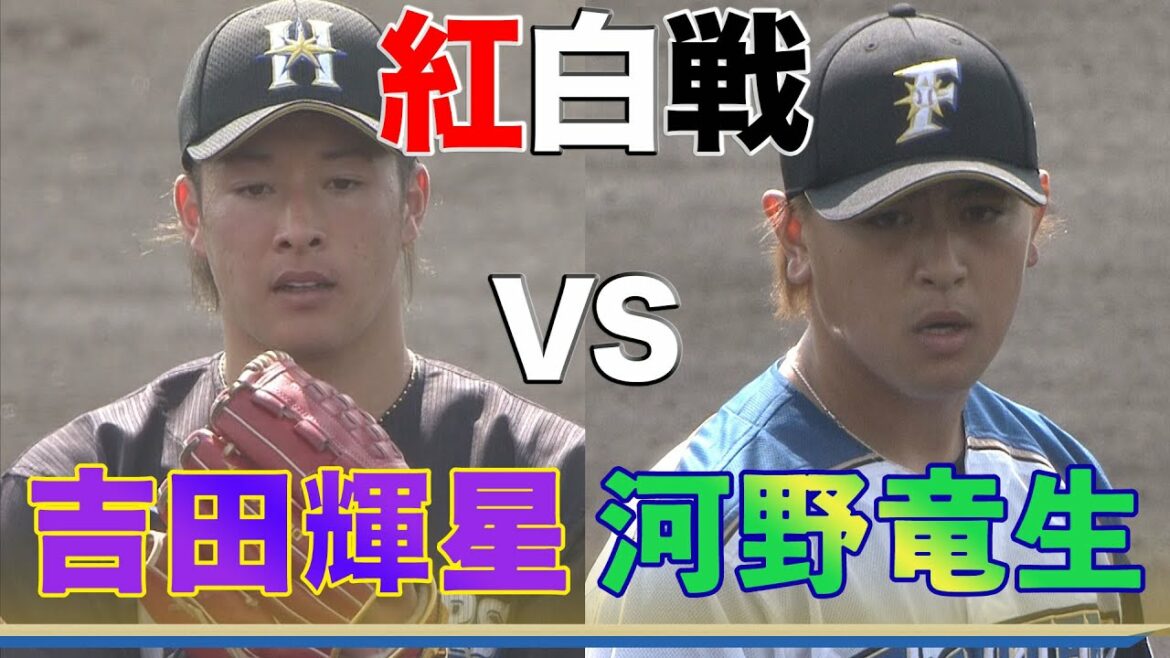 吉田輝星&河野竜生のドラ1対決!紅白戦ハイライト<北海道日本ハムファイターズ>