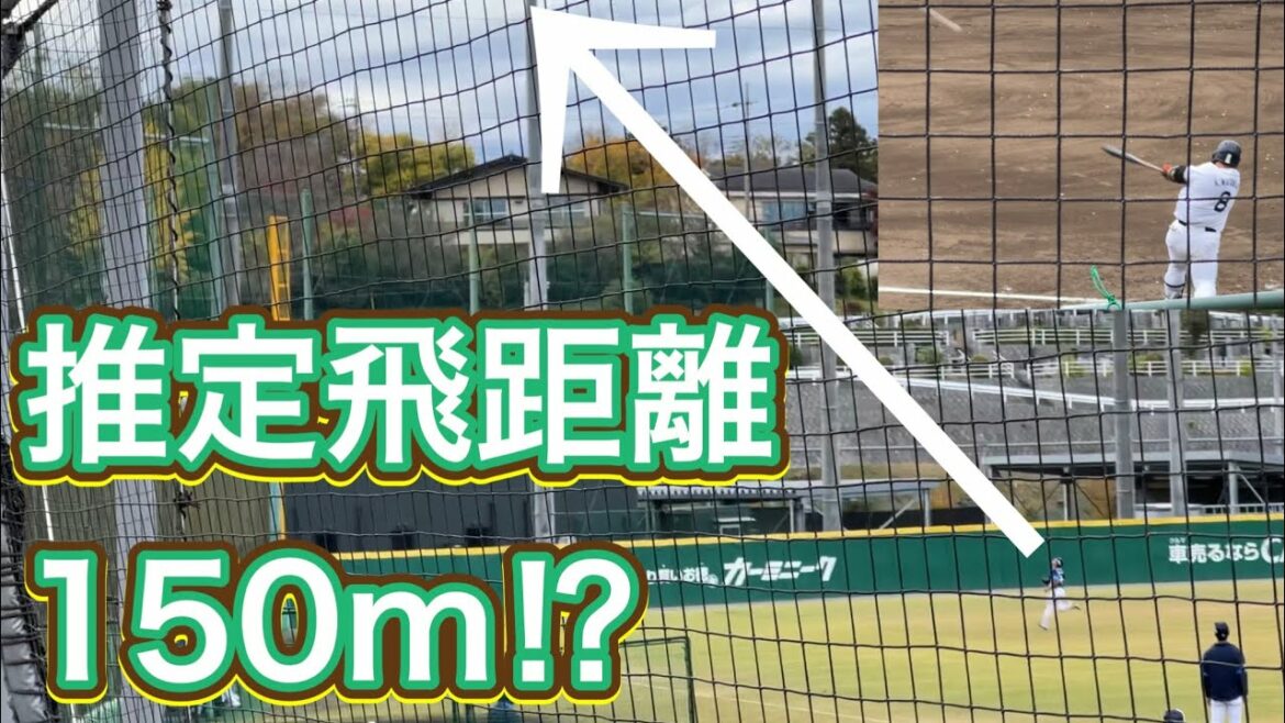 渡部”ベッケン”健人 驚愕の飛距離!超特大3ランHR/ライオンズ紅白戦 2022/11/14秋季キャンプ