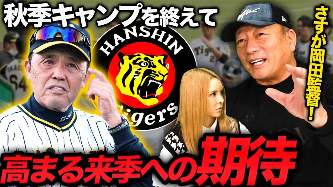 『佐藤輝明よりも〇〇に期待している』秋季キャンプを終えて高木豊が考える阪神のオーダーとは?【岡田彰布】【阪神タイガース】