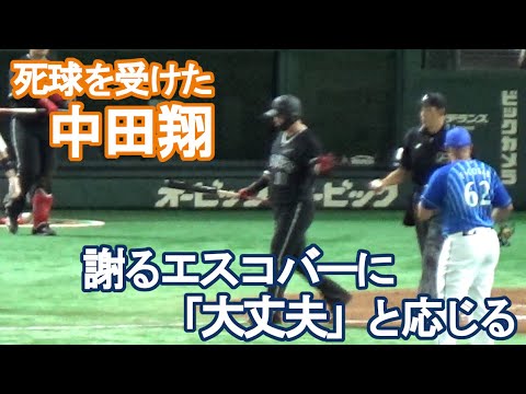 【デッドボールの中田翔】謝るエスコバーに「大丈夫」と紳士的な対応を見せる(2022/9/6)巨人vs横浜DeNA
