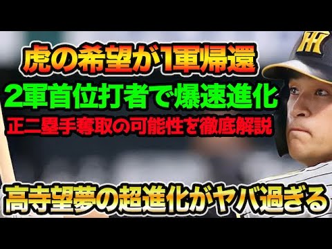 【虎の希望が緊急1軍昇格】高寺望夢の超進化がマジでヤバ過ぎる件について!! 二塁レギュラー奪取の可能性を徹底解説【阪神タイガース】