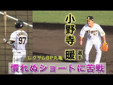 『小野寺暖選手 慣れぬショートに苦戦 プレー集』阪神タイガースvs広島カープ ファーム レクザムボールパーク丸亀2戦目 2022年7月31日