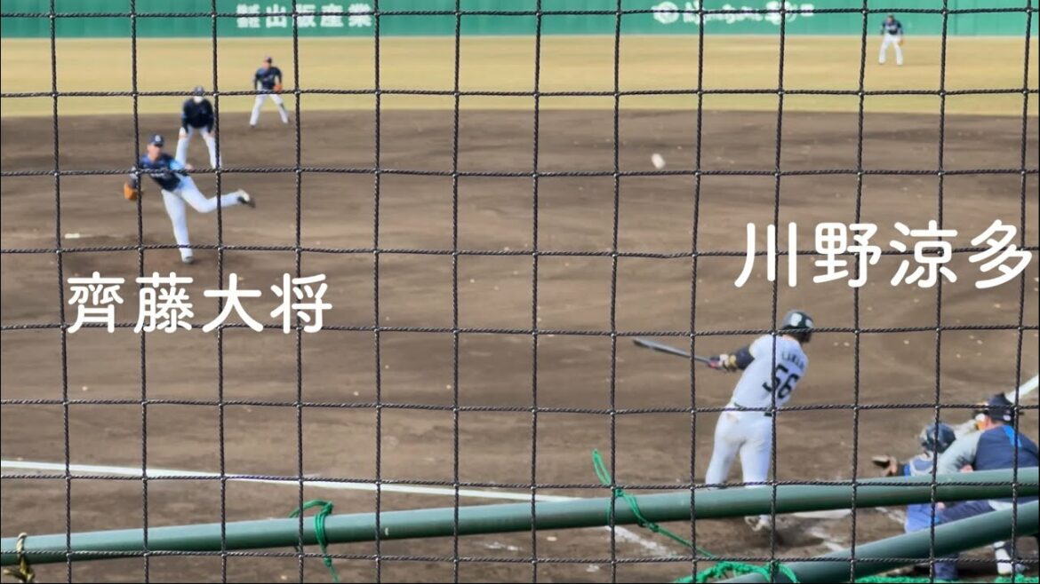 川野涼多 右打席で右中間に2点タイムリー3ベース!/ライオンズ紅白戦 2022/11/14秋季キャンプ