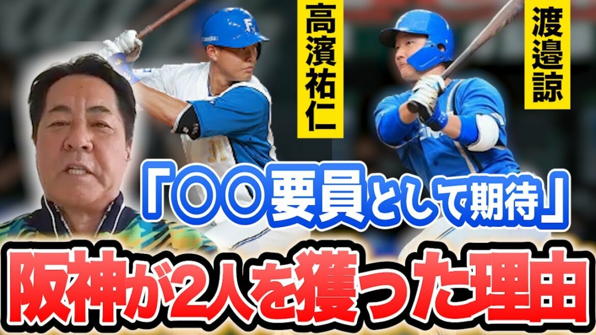 渡邉・髙濱が来シーズン1軍で活躍する可能性は?
