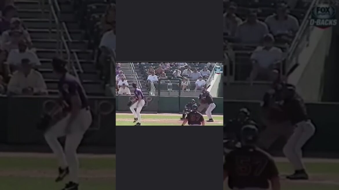 飛べなくなった鳥