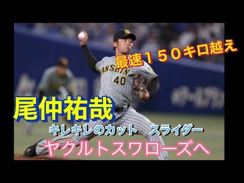 元阪神 尾仲祐哉 150キロ越右腕!ヤクルトスワローズへ キレキレカットスライダー!