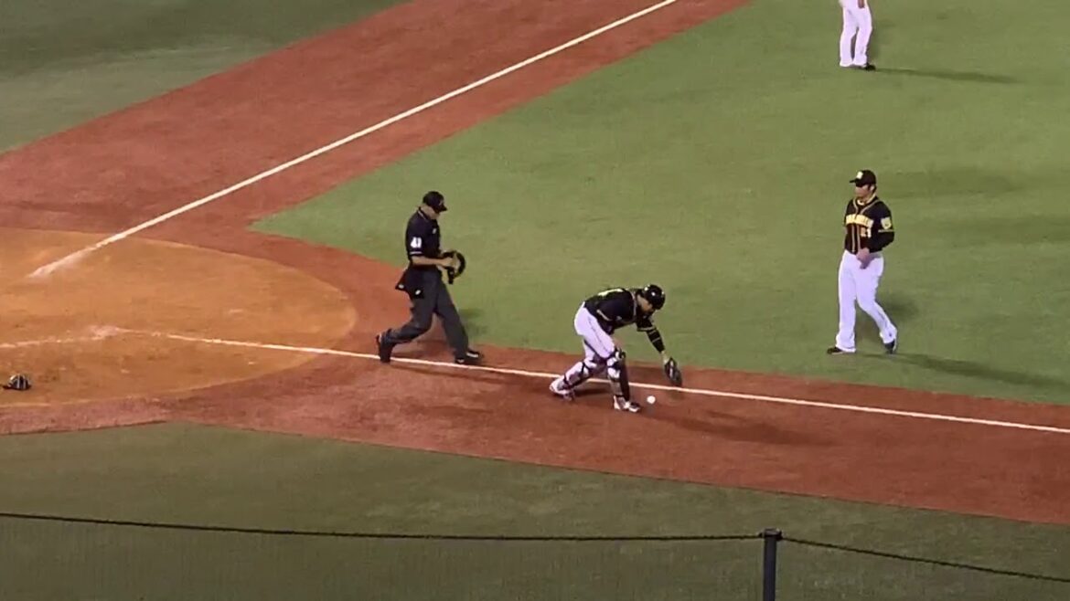 20190418風張蓮投手の手堅いバント(滅多に見れません)-東京ヤクルトスワローズ応援チャンネル&つば九郎-