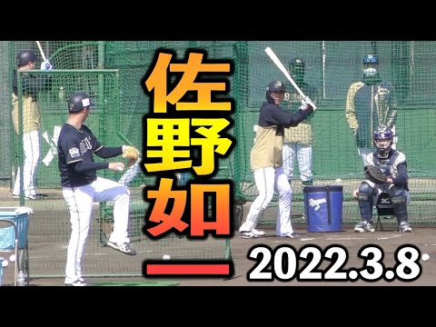 佐野如一 打撃練習 打ち方 フォーム【オリックス 2022年 プロ野球】