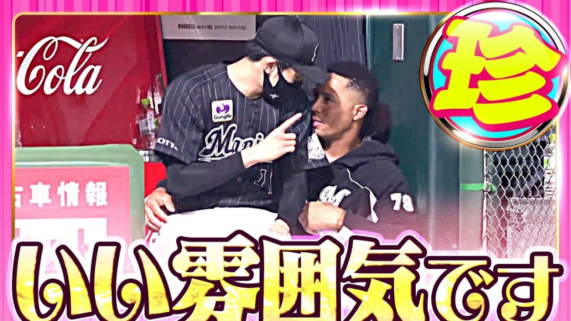 Pacific-League: 【ほっこり】仲良し!