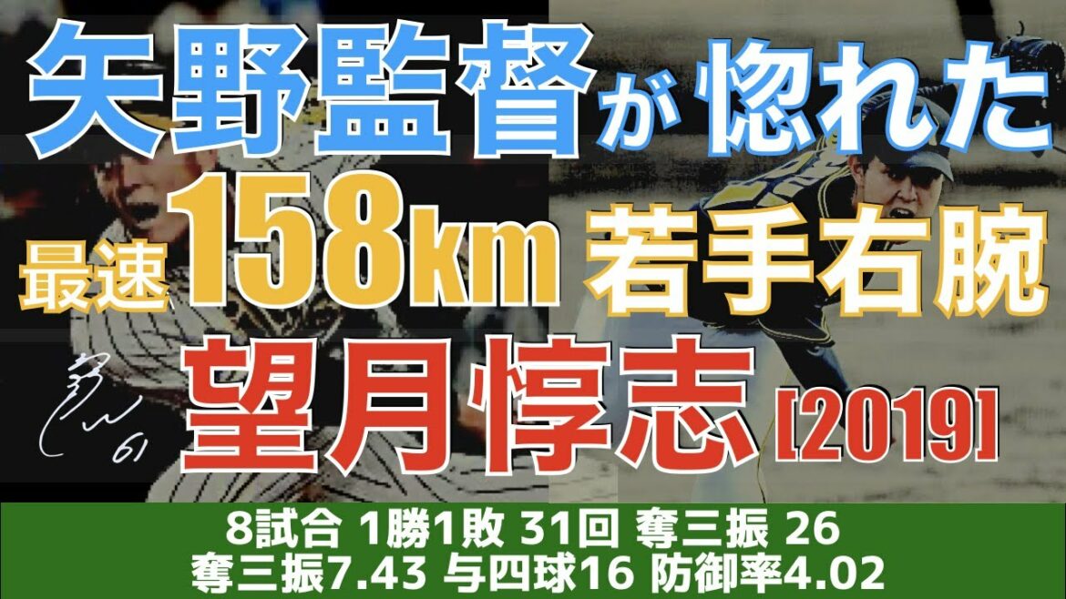 【とにかくやばいストレート投げるから見て】190センチ右腕 望月惇志 ピッチング集 2019【藤川球児を継ぐもの】