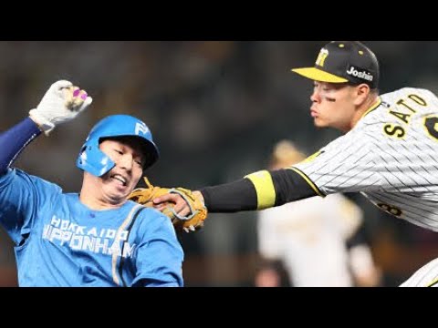 宇佐見をアウトにする佐藤輝明