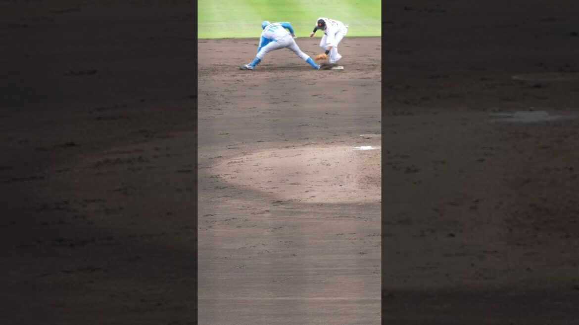 うまい牽制連携、山崎友輔・廣岡大志・喜多隆介 #shorts