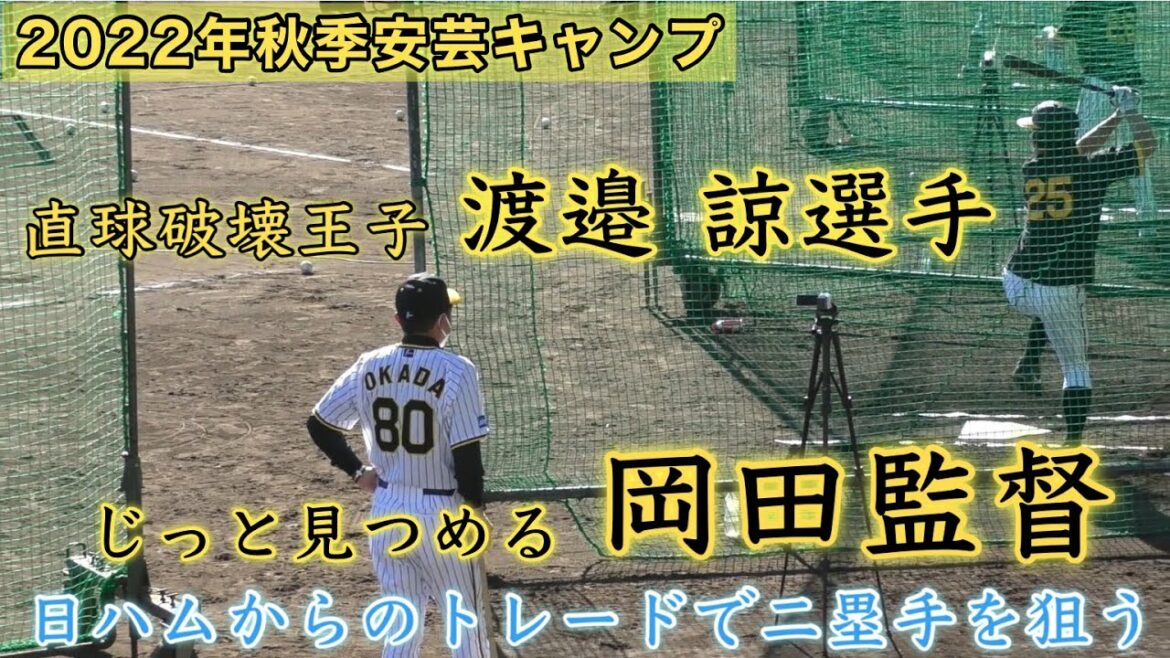『直球破壊王子 渡邉諒選手』じっと見つめる岡田監督期待の表れ 日ハムからトレード二塁手を狙う 2022秋季安芸キャンプ 阪神タイガース 2022年11月3日