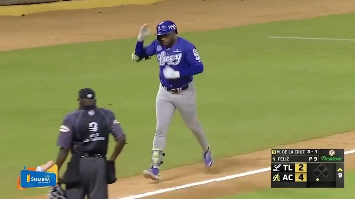 阪神を退団 ロハス・ジュニアが待望のドミニカ初ホームラン!