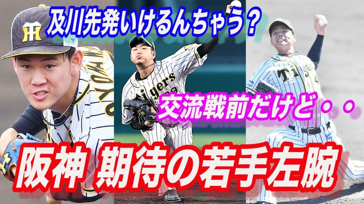 【阪神タイガース】期待の若手サウスポー 髙橋遥人/川原陸/及川雅貴