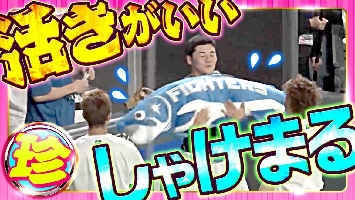 Pacific-League: 北海道日本ハム『珍』まとめ