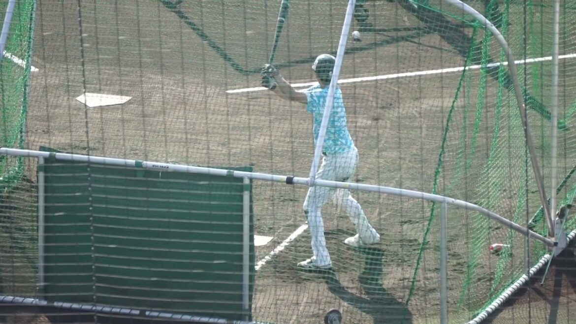 2022/11/12(土) フリーバッティング 元山飛優(東京ヤクルトスワローズ)