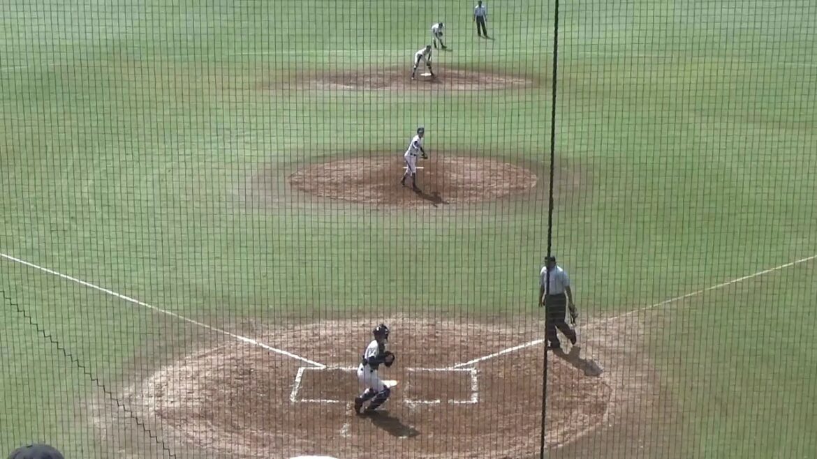 【WHO'S NEXT 2017】益子京右 (青藍泰斗/捕手兼内野手) -スローイング篇-【栃木の強肩スナイパー】