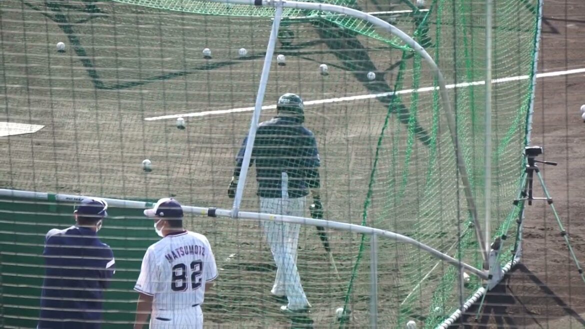 2022/11/12(土) フリーバッティング(キャンプ中) 松井聖(東京ヤクルトスワローズ)