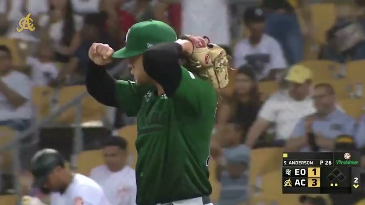 元日本ハム ロニー・ロドリゲスがドミニカ共和国のウィンターリーグで犠牲フライ!