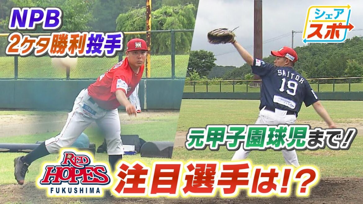 NPB2ケタ勝利投手に元甲子園球児まで!ヤクルトの元エース館山コーチが解説!7月5日西武との一戦 注目選手は?