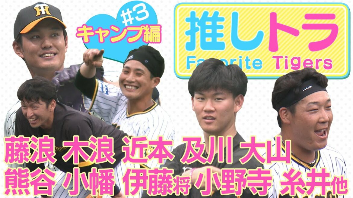 【推しトラ#3 キャンプ編】TORACOの皆様!沖縄で見つけたきゅんをまとめたさー♪木浪&近本/熊谷&小幡/藤浪/伊藤将/及川/小野寺/他 タイガース密着!応援番組「虎バン」ABCテレビ公式チャンネル